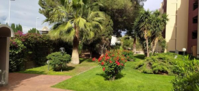 Zeus Cagliari